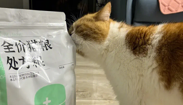 猫咪处方粮一般吃多久有效 猫咪处方粮一般吃多久有效