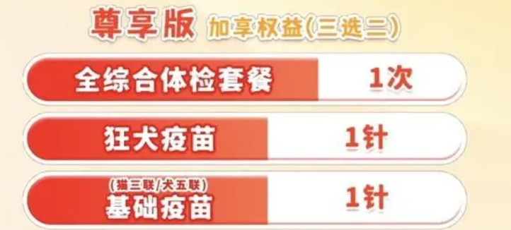 年轻人给宠物买保险：猫猫狗狗看病比人贵