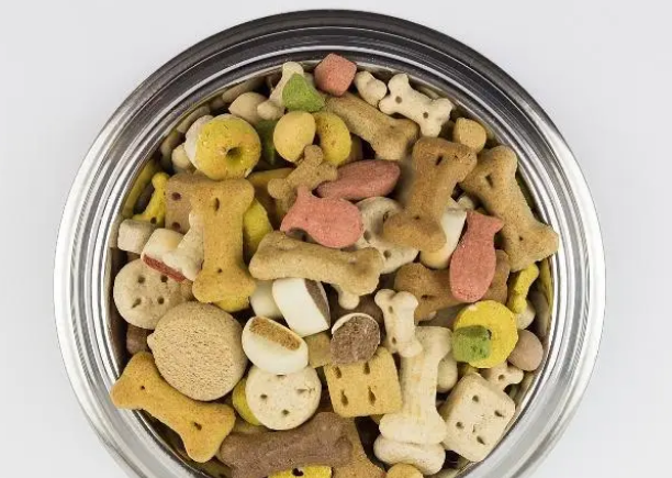 狗狗换粮的注意事项?这4个阶段一定要换 狗狗换粮的注意事项?这4个阶段一定要换