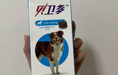 贝卫多是体内还是体外 贝卫多是体内还是体外