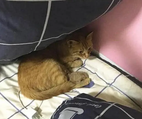 半夜睡觉被一股凉意惊醒,以为自己尿床? 半夜睡觉被一股凉意惊醒,以为自己尿床?