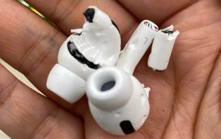 拉布拉多一顿“吃”了一万多，网友都惊了