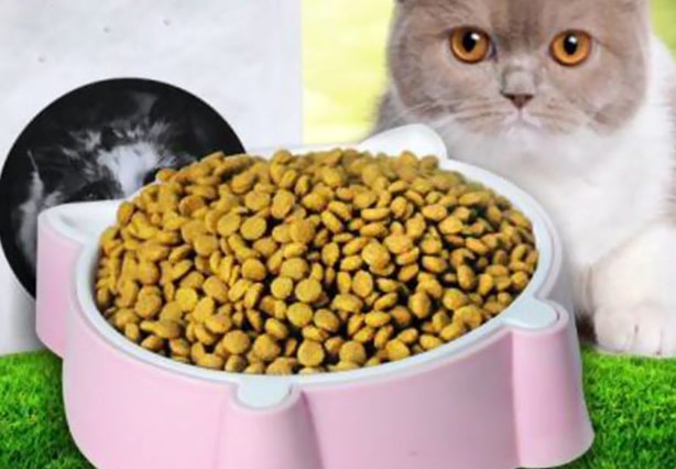 10大猫粮排行榜