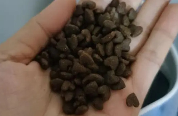 卫仕猫干粮,内含六种肉和果蔬,助萌宠成长 卫仕猫干粮,内含六种肉和果蔬,助萌宠成长