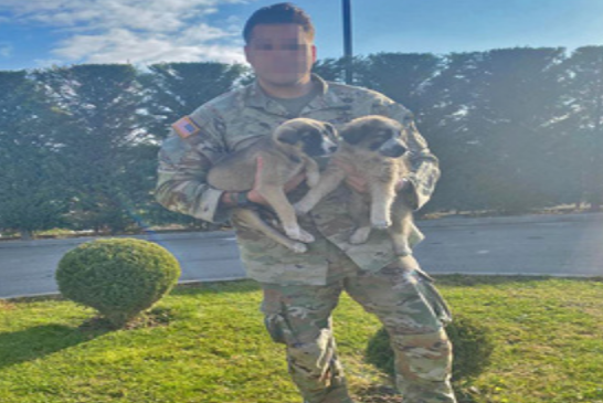 路边发现虚弱小狗！美军上士收留细心照顾