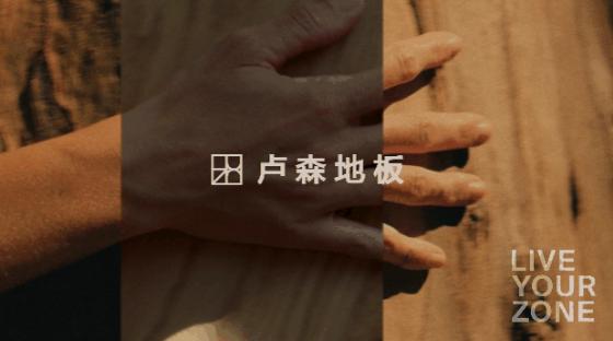 卢森地板丨为萌宠家庭带去更为安心的关怀