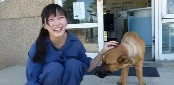 “美女兽医”简稚澄：给700只流浪狗安乐死后自杀