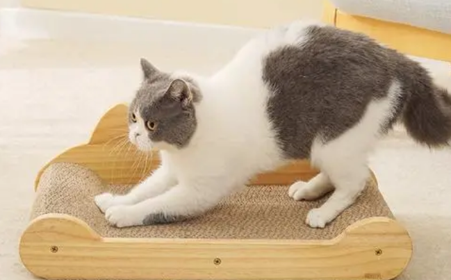 猫抓板的作用