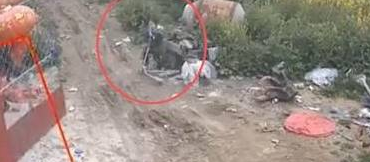 孩子拿石头挑衅大狗,被扑倒在地 孩子拿石头挑衅大狗,被扑倒在地