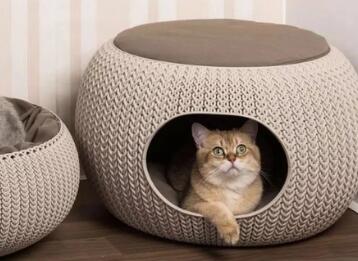 猫需要猫窝么 猫需要猫窝么