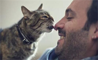 猫咪舔主人脸