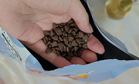 不油腻的猫粮推荐