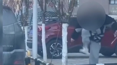 店员猛踩寄养宠物,宠物主人该如何维权? 店员猛踩寄养宠物,宠物主人该如何维权?