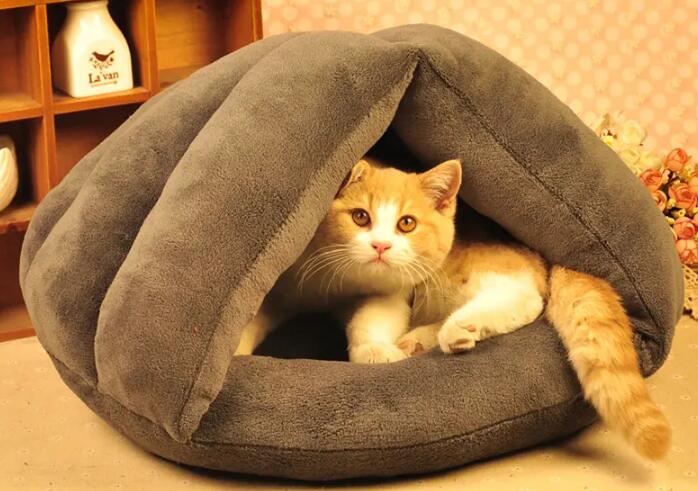 如何教猫咪用猫窝