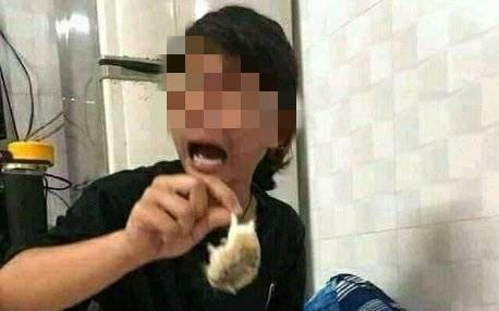 猫咪把仓鼠祸祸了，女主人下班抱着仓鼠哭