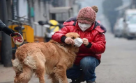 阳性人员家中的宠物怎么办