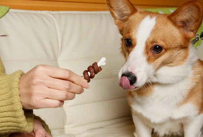 狗零食好不好 狗零食好不好