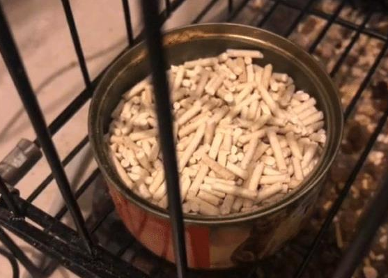 老爸发来消息说猫不吃猫粮，网友点开后语塞