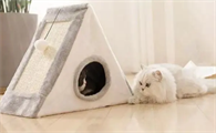 养猫用猫窝吗