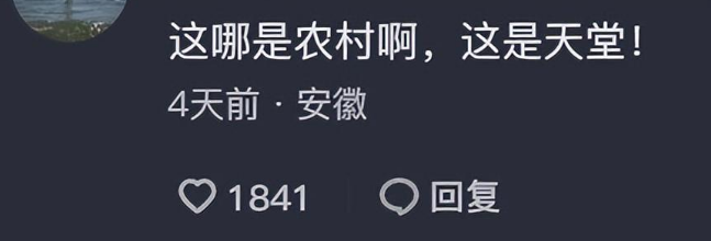 第一批胆敢带狗回老家的人,已经被狗遛疯了 第一批胆敢带狗回老家的人,已经被狗遛疯了