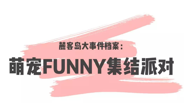 盖夫携手麓客岛，萌宠FUNNY集结派对