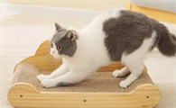 猫抓板的作用