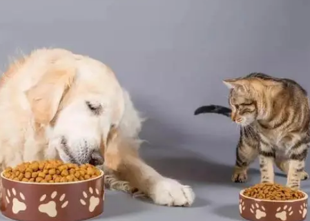 猫粮狗粮区别