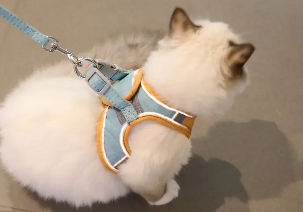 猫咪牵引绳什么样的好 猫咪牵引绳什么样的好