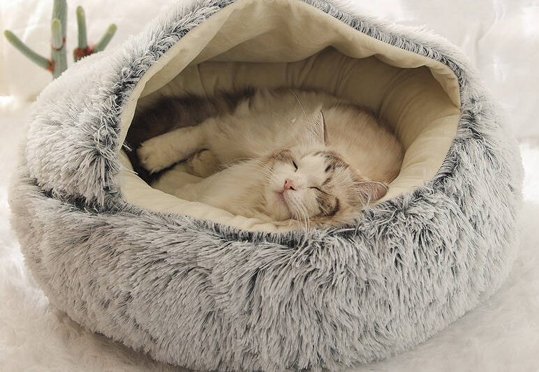冬季猫窝推荐