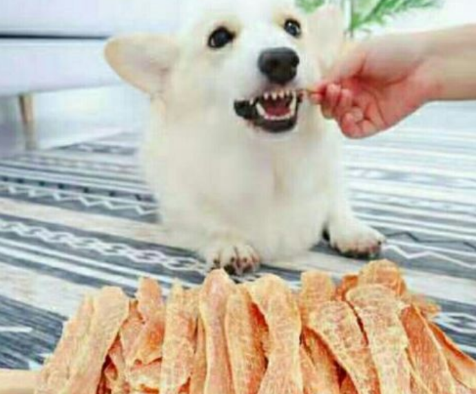 狗零食品牌排行榜
