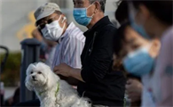 主人得了新型冠状病毒宠物怎么办