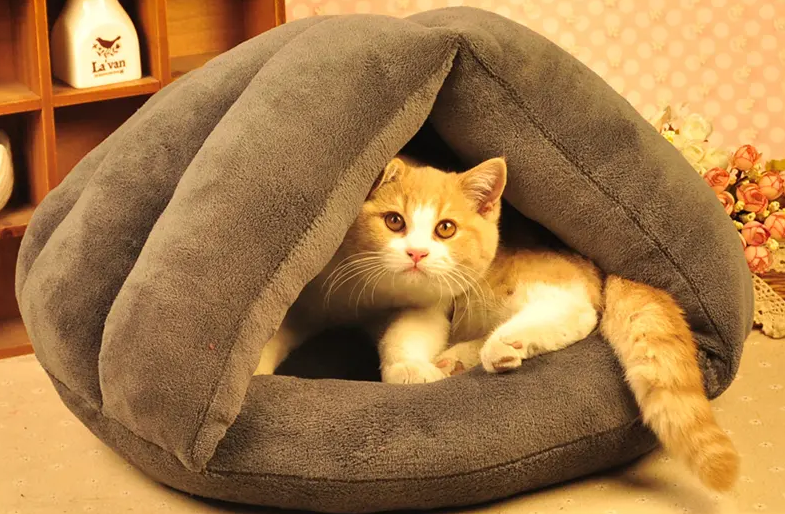 怎么给猫咪做窝 怎么给猫咪做窝