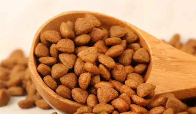 猫粮便宜的多少钱一斤