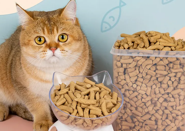 一般猫吃什么零食
