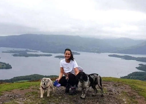 宠物狗也能献血：英国猎犬献血6年