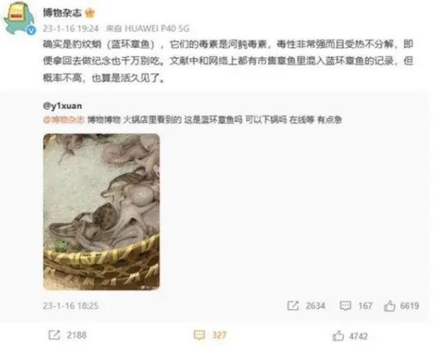 火锅店里惊现蓝环章鱼？网友请教：可以吃吗
