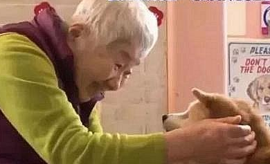 81岁奶奶与柴犬同患痴呆，竟然还记得彼此