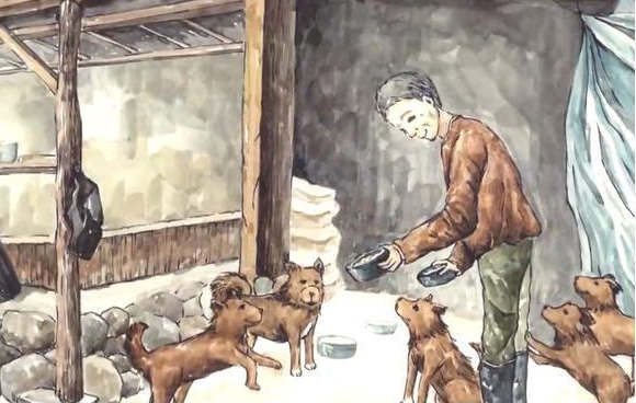 5只狗狗救下醉酒的老人，老人却不辞而别
