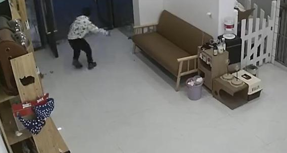 男孩放生宠物店猫咪,家长却称店主管理不善 男孩放生宠物店猫咪,家长却称店主管理不善