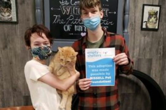 获救时伤痕累累!橘猫好不容易康复却无人领养 获救时伤痕累累!橘猫好不容易康复却无人领养