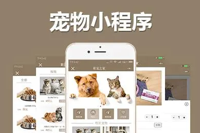 宠物领养小程序：可以了解更多的宠物