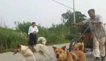 当涂“知名”人物，小海子和他的流浪狗