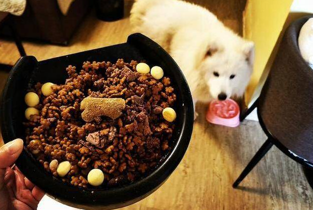 狗粮怎么做