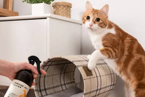 如何去除猫尿味
