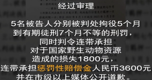 深夜组队吃鸡，北京5男子猎杀野生动物获刑！