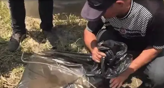 土狗被大爷掷哑铃击中致死,因为抢吃了鸡排 土狗被大爷掷哑铃击中致死,因为抢吃了鸡排