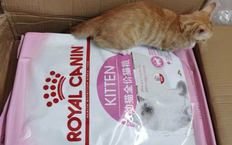 猫粮什么牌子便宜