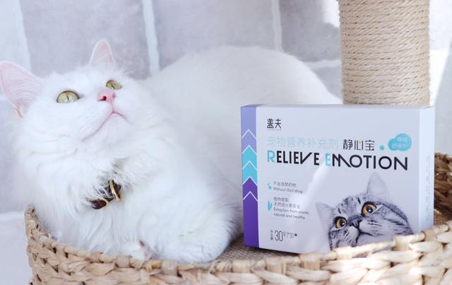 猫咪应激反应怎么安抚,盖夫静心宝有效缓解 猫咪应激反应怎么安抚,盖夫静心宝有效缓解