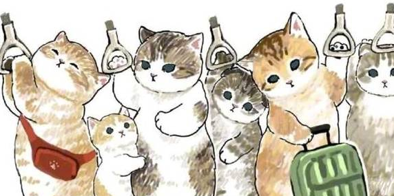 当人变成猫,挤地铁都变得可爱起来了 当人变成猫,挤地铁都变得可爱起来了