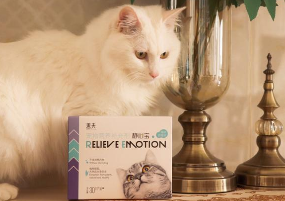 猫咪遇到应激反应怎么办,盖夫静心宝能缓解 猫咪遇到应激反应怎么办,盖夫静心宝能缓解